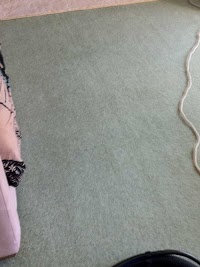 Local Carpet and Upholstery Cleaning 350621 Image 2